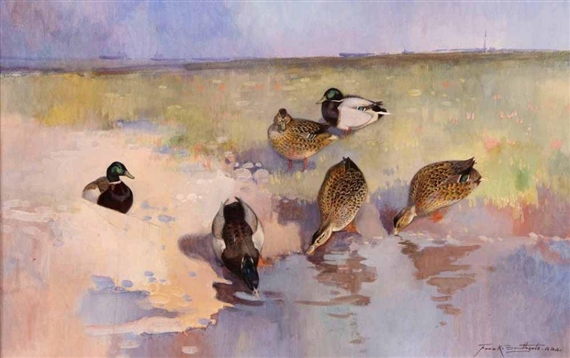 Mallard Ducks by Waters Edge