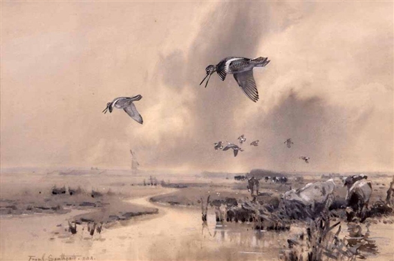 The Redshanks Breeding Season Flight