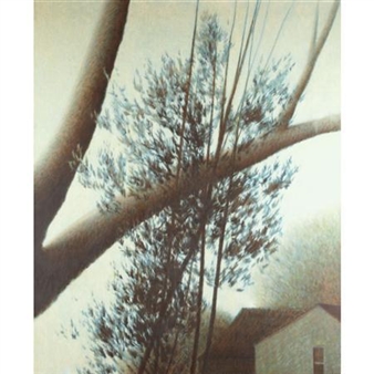 The Branch - Robert Kipniss