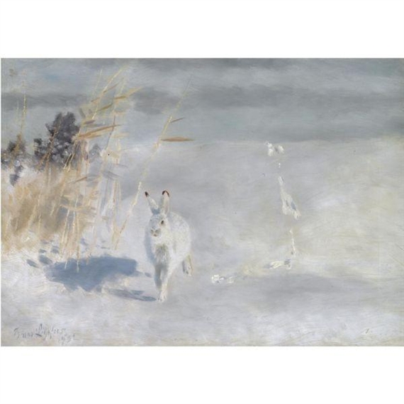 VINTERHARE (SNOW HARE) by Bruno Liljefors, 1932