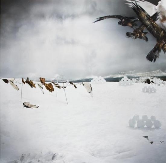 Snowscape with Owls by Anthony Goicolea, 2003