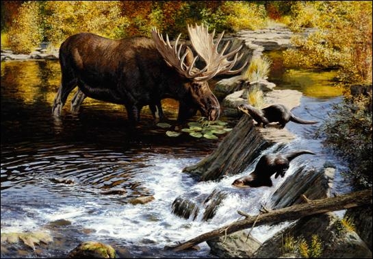 Moose and River Otter by Tom Beecham