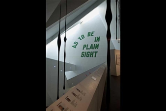 Denver Art Museum Acquires Six Site-Specific Installations