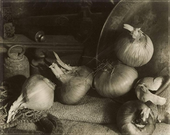 STILLEVEN - Willy Boeckstyns