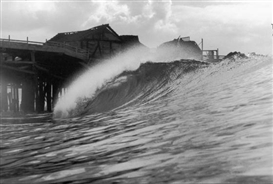 “Swell”