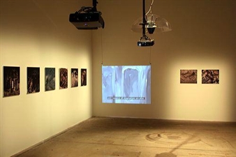 Felix Gmelin - Milliken Gallery