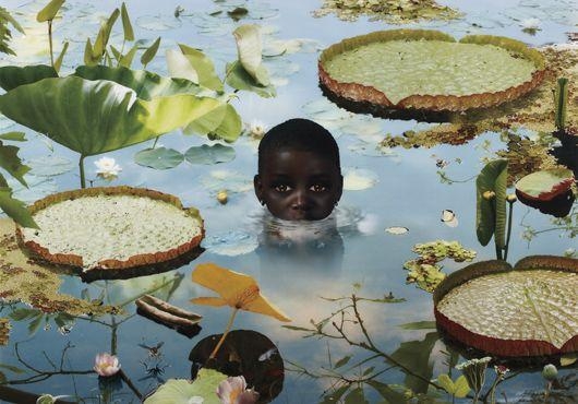 World #5 by Ruud van Empel, 2005