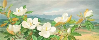 View of Kamuela, Hawaii - Lloyd Sexton, Jr.