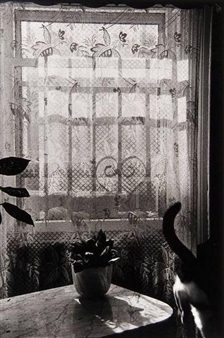 Nora’s tail - Sylvia Plachy