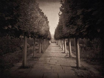The lime walk, sissinghurst; Girl and boy, Sissinghurst - Beth Dow