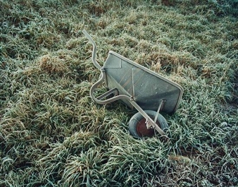 Wheel barrow - Marcus Doyle
