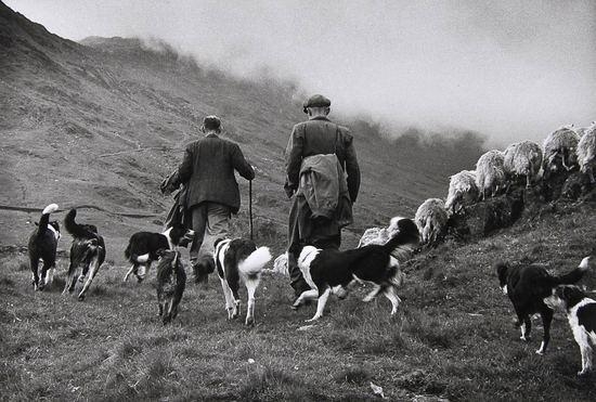 Into the mist, snowdonia, wales by Grace Robertson, 1951, printed later