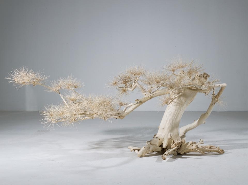 Artwork by Shi Jinsong, Short Pine No.4, Made of Trees & Willow Branches & Stainless Steel Screws