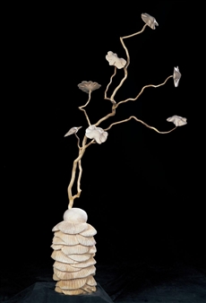 Unique Plants Series No.3011 - Cang Xin