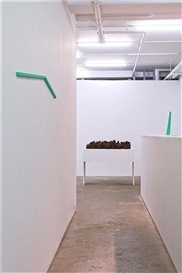 Brion Nuda Rosch’s multimedia installation is sprawling yet restrained