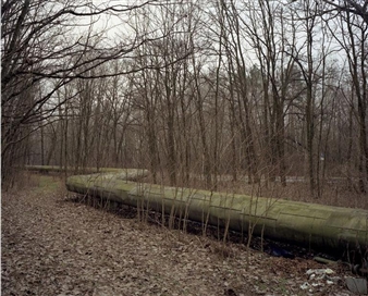 Andreas Gehrke: Forst - +Kris Graves Projects