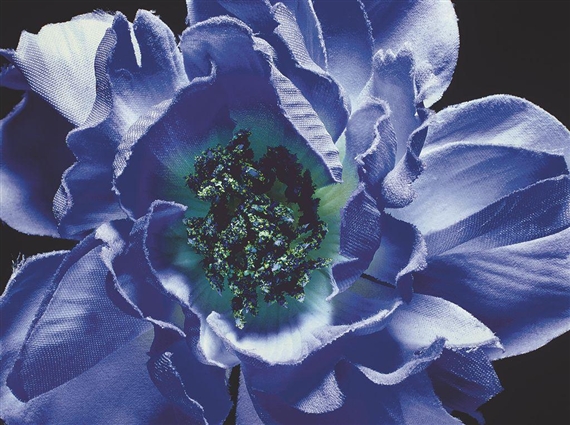 Light Blue by Boyd Webb, 2003