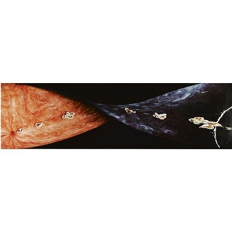 Asteroid and Kidney Stone - Boyd Webb