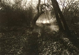 Thomas Joshua Cooper (American, 1946)