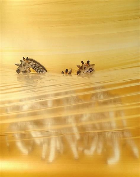 Giraffe by Boyd Webb, 1989