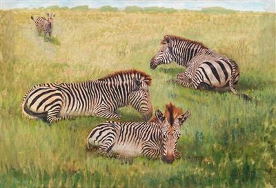 Zebras Resting by Wilhelm Kuhnert