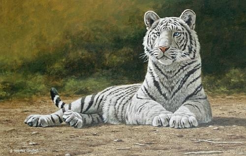White Tiger by Stephen Gayford, 1998