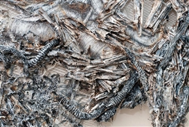 Dana Melamed Opens Her Third Solo Show at Priska C. Juschka Fine Art