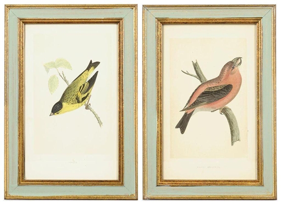 TWELVE COLOURED ENGRAVINGS FROM A HISTORY OF BRITISH BIRDS by Francis Orpen Morris, circa 1865