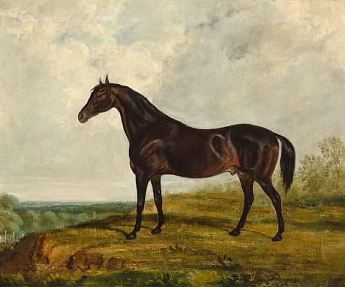 Artwork by J. W. Sloan, A dark bay stallion in an extensive landscape, Made of Oil on canvas