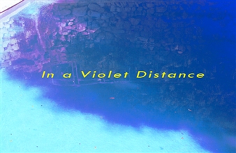 In A Violet Distance - Galerie Zürcher, New York