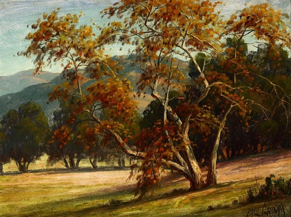 Sycamore Tree by Paul Grimm