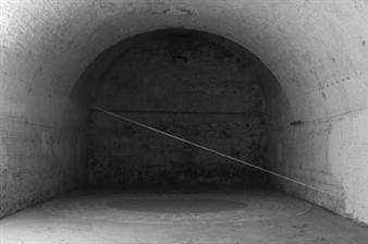 Pierre-Laurent Cassiere: Corpusculi Apparatus  - Galerie Frédéric Giroux