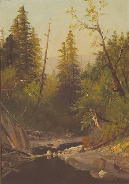 Near Felton, Santa Cruz Mountains, California by Frederick Ferdinand Schafer