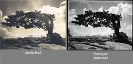 Ansel Adams, Earl Brooks share top billing in show on Yosemite photography since the 1860s