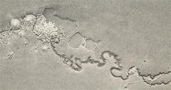 Mapping Minutiae: Art in the Age of Foursquare and Genome Projects 