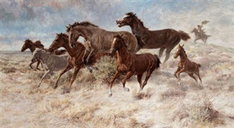 Hazing Broomtails - Tom Beecham