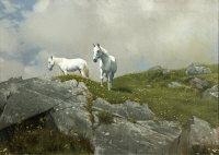 Mountain Summit by Patrick Hennessy