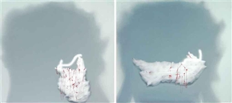 Membayang (Imagining) - Handiwirman Saputra