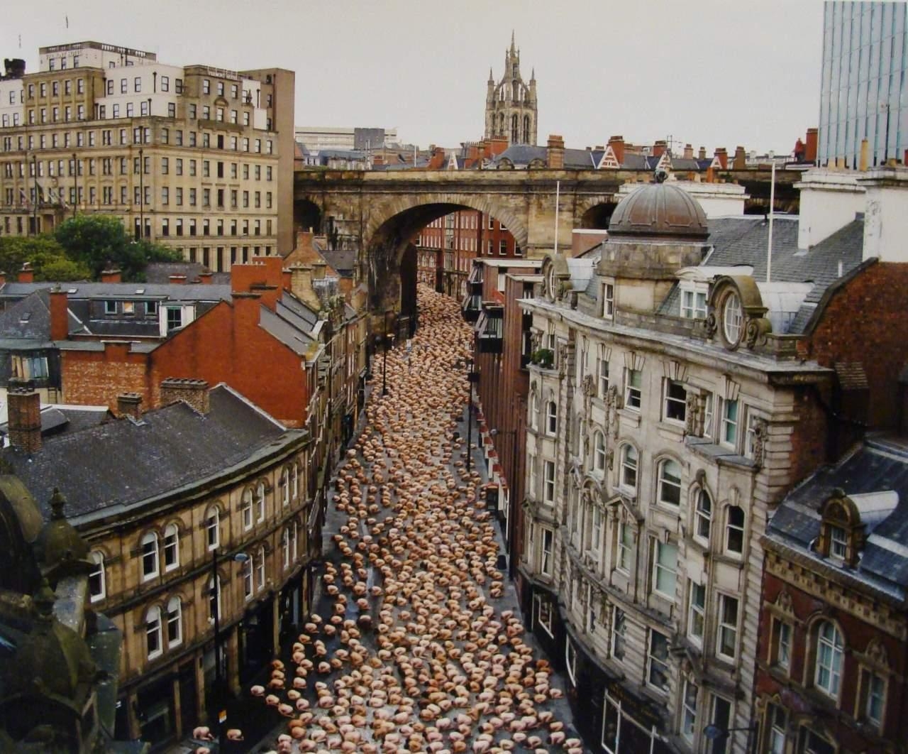 международный день купания нагишом. северное море купание. спенсером тьюник. свободу соску. спенсер туник мертвое море.