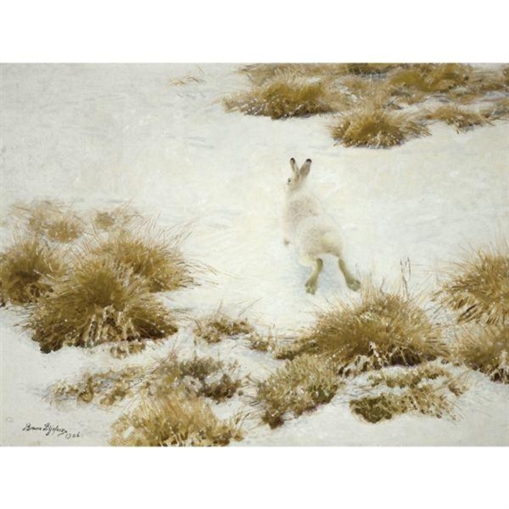 Vinterhare Bland Tuvor (the snow hare) by Bruno Liljefors, 1906