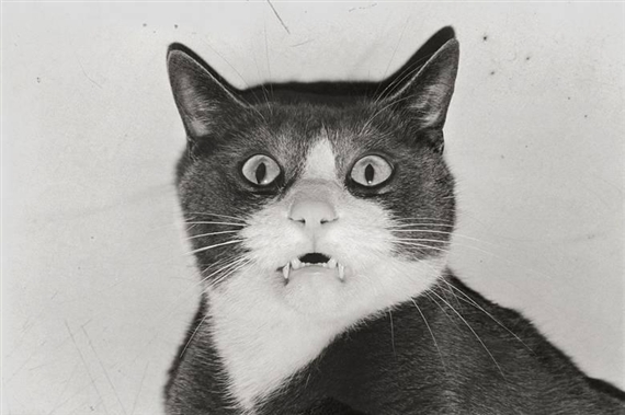 FROM THE SERIES ERNIE 1980–1983 - Tony Mendoza