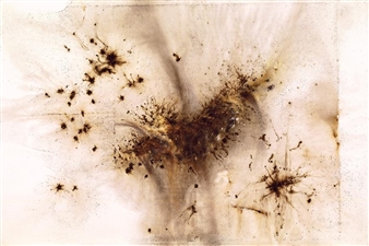 Furious Tiger Going Down a Mountain - Cai Guo Qiang
