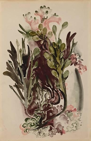 Seaweed II by Georgia O'Keeffe