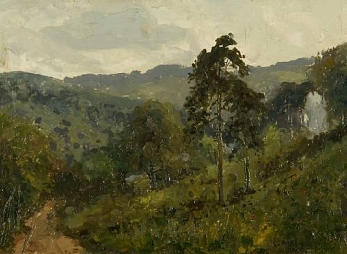 Symonds Yat by Campbell A. Mellon