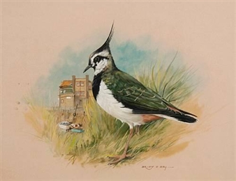 2 works: Lapwing at Blakeney; Redwing at Walsingham - Brian Day