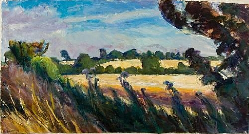 Wheatfield with thistles, Monk Soham by Graham Giles