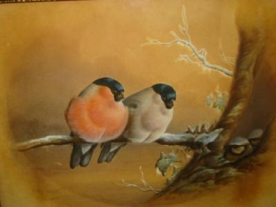 Study of Bullfinches by Harry Bright, 1887