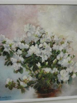 White Azalea by Bruno Guaitamacchi
