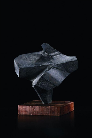 Taiji Series by Ju Ming