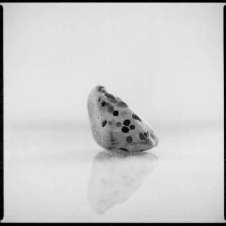 John Pollak: Stranded Goods - Galerie Förster 